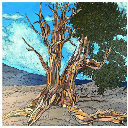April Gratrix, A Year of Trees