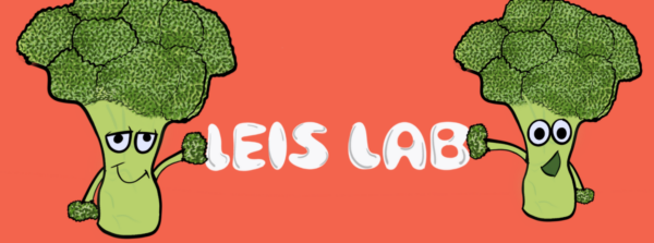 LeisLab